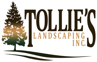 Tollie’s Landscaping & Lawn Tollie's Landscaping & Lawn