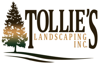 Tollie's Logo